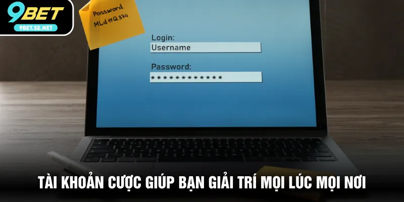 Tài khoản cược giúp bạn giải trí mọi lúc mọi nơi